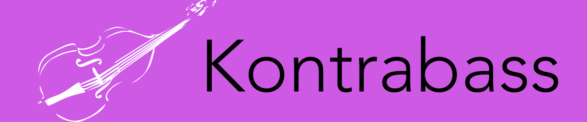 Resounding Fingerboard Kontrabass