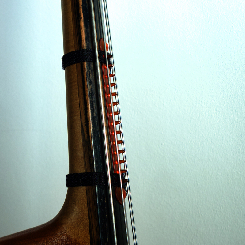 Bad-Fingerboard-Day double bass